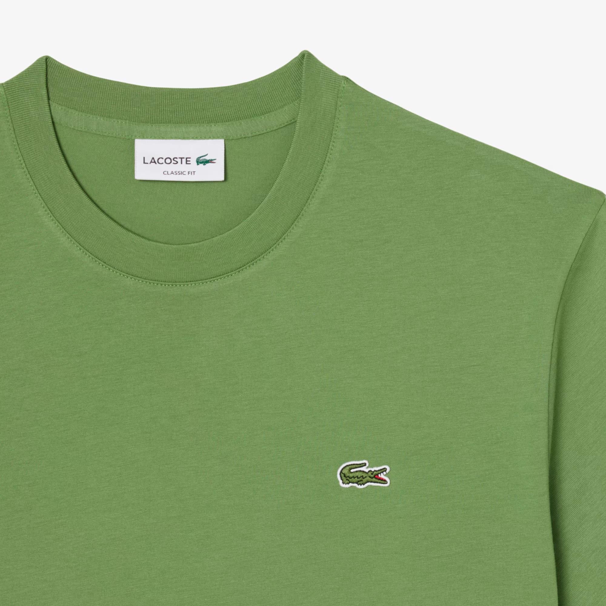 T-shirt in cotone TH7318 02M LACOSTE 