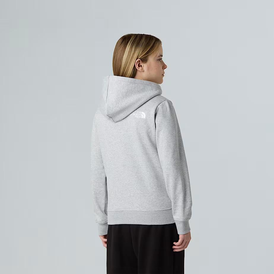 Felpa pullover con cappuccio NF0A8EHH DYX1 THE NORTH FACE 