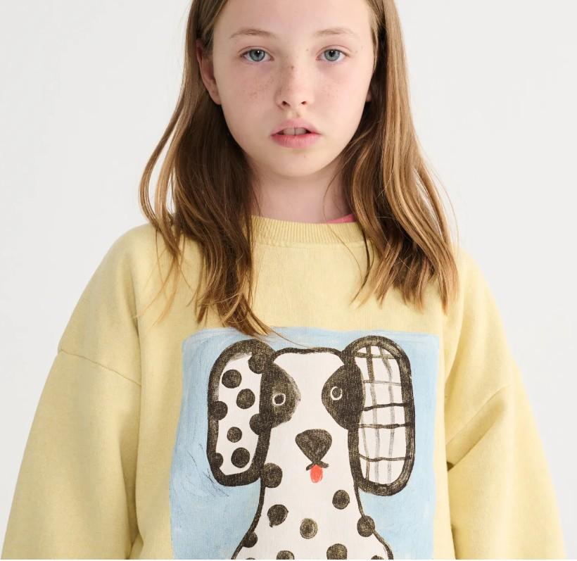 Felpa van dog B126A041 721 BOBO CHOSES 