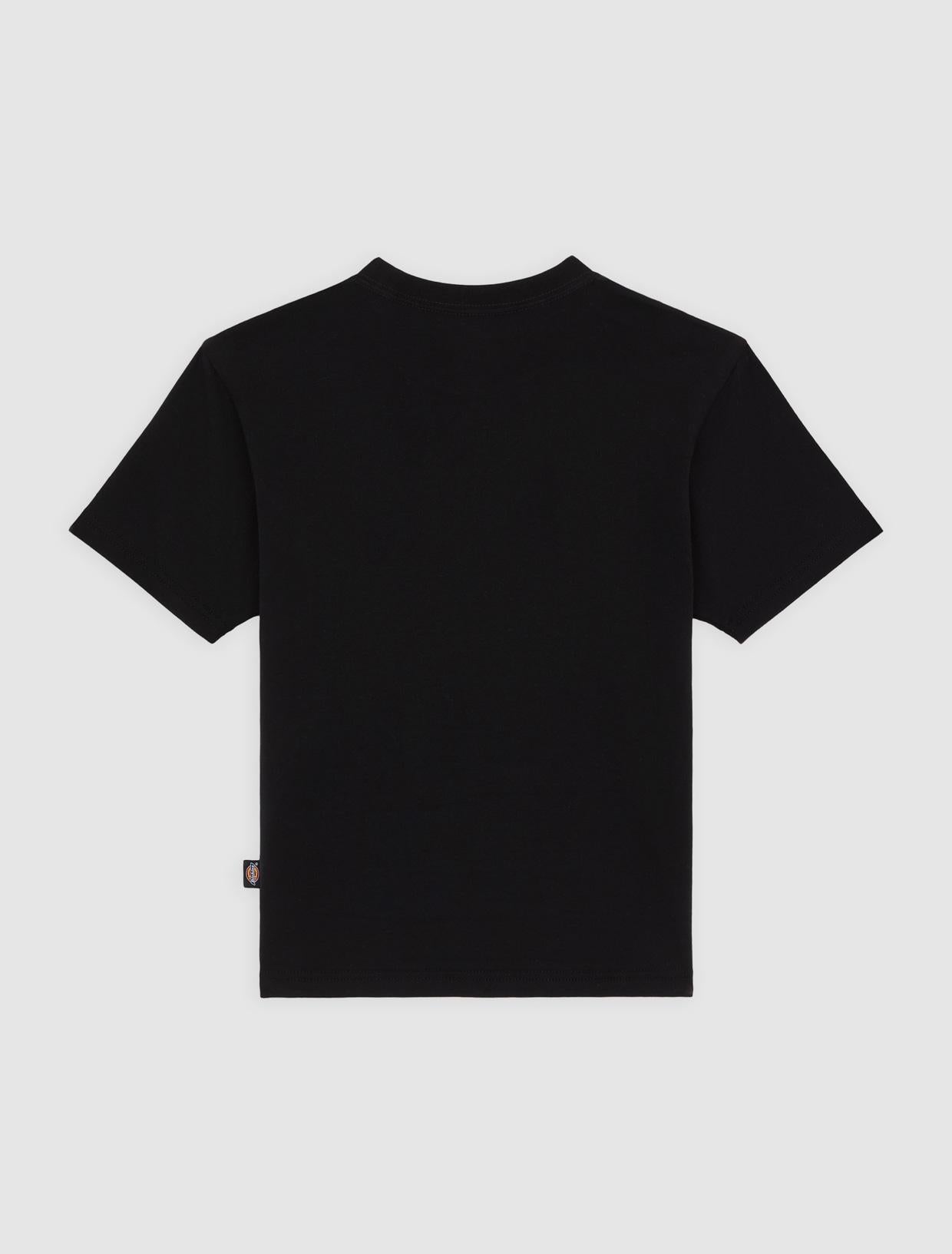 T-shirt Maple Valley Regular DK0A4ZAO BLK1 DICKIES 