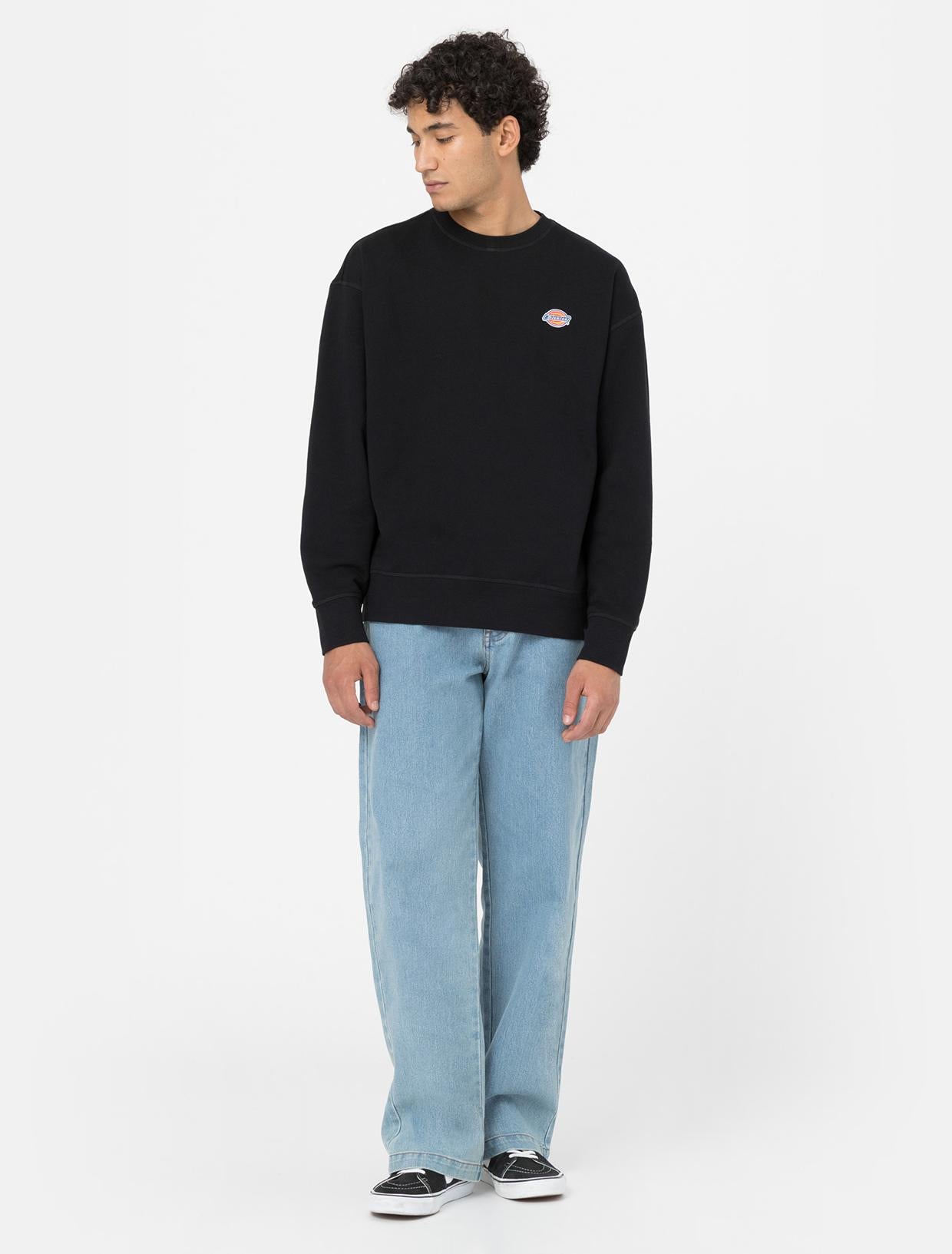 Felpa Millersburg DK0A4YLZ BLK1 DICKIES 