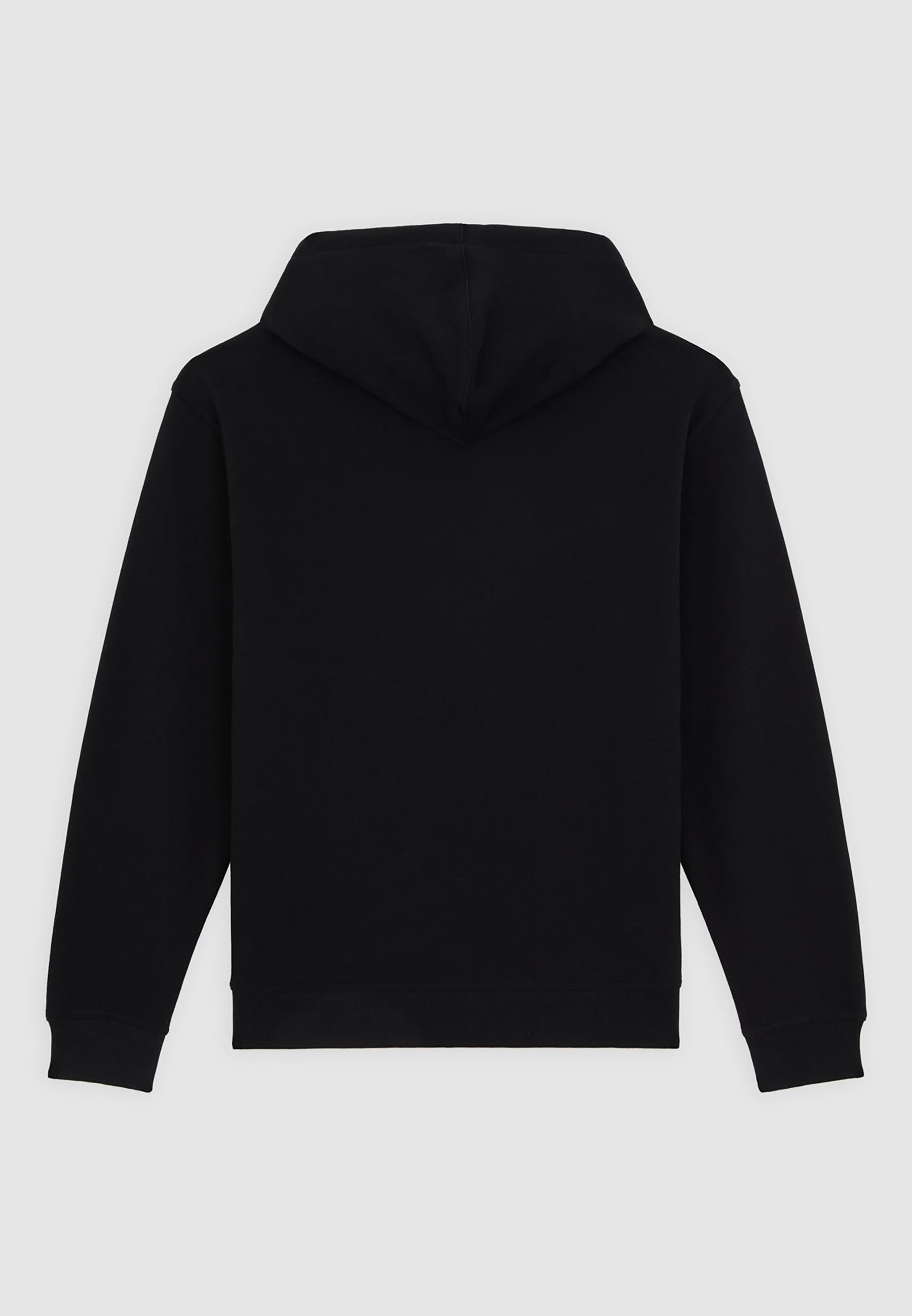 Felpa con cappuccio Lewistown DK0A8683 BLK1 DICKIES 
