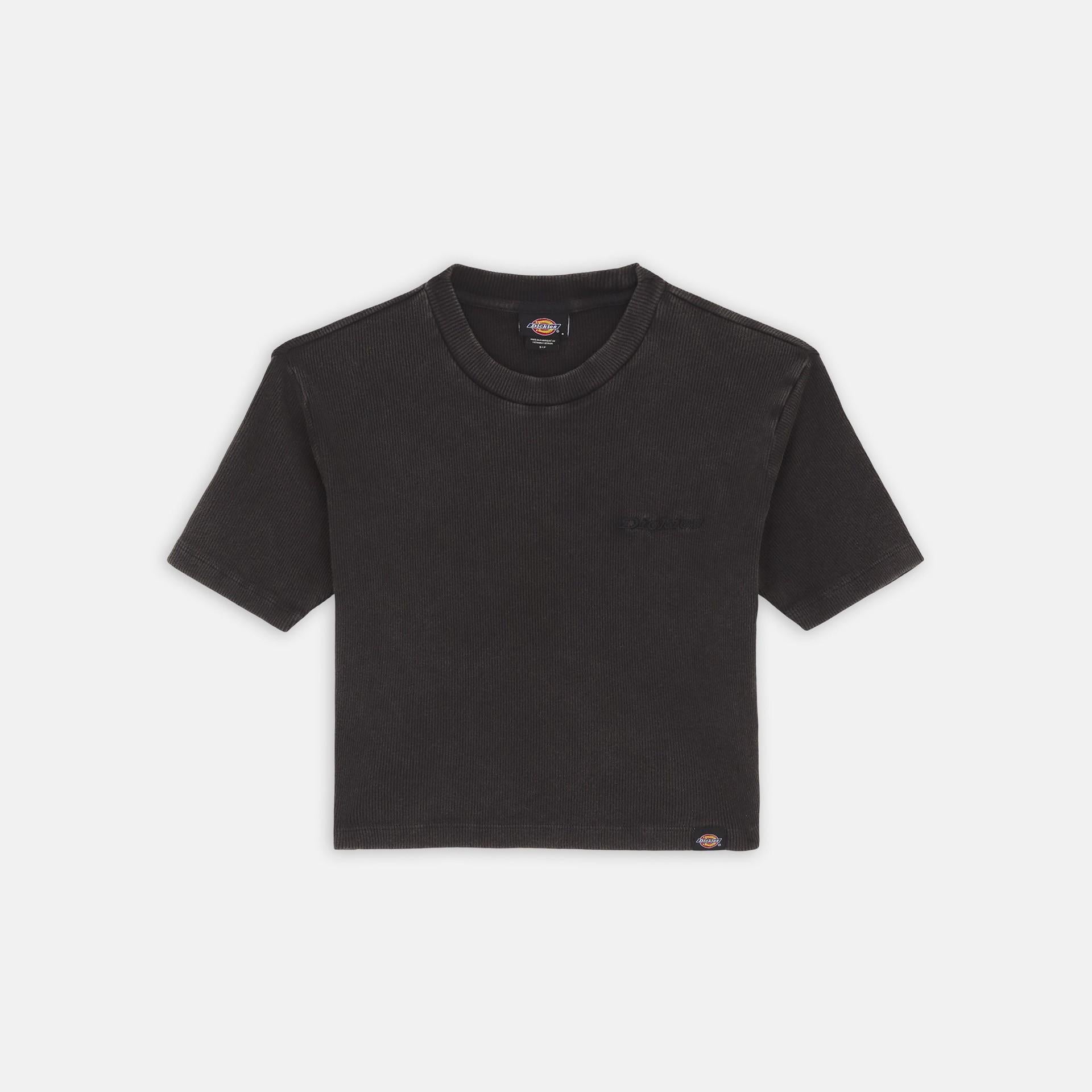 T-shirt con logo ricamato DK0A866F BLK1 DICKIES 