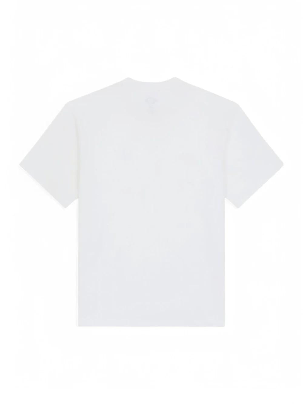 T-shirt Clancy Heavyweight DK0A4Z4L 0WH1 DICKIES 
