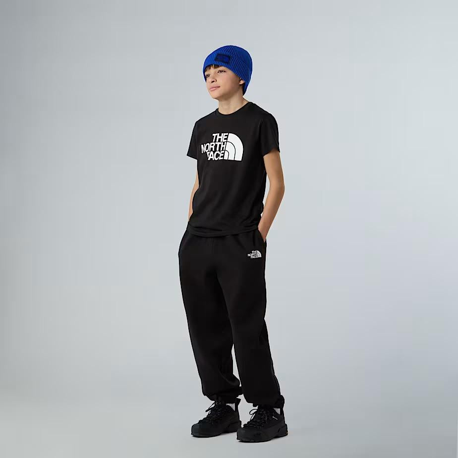 T-shirt NF0A8EHG JK31 THE NORTH FACE 