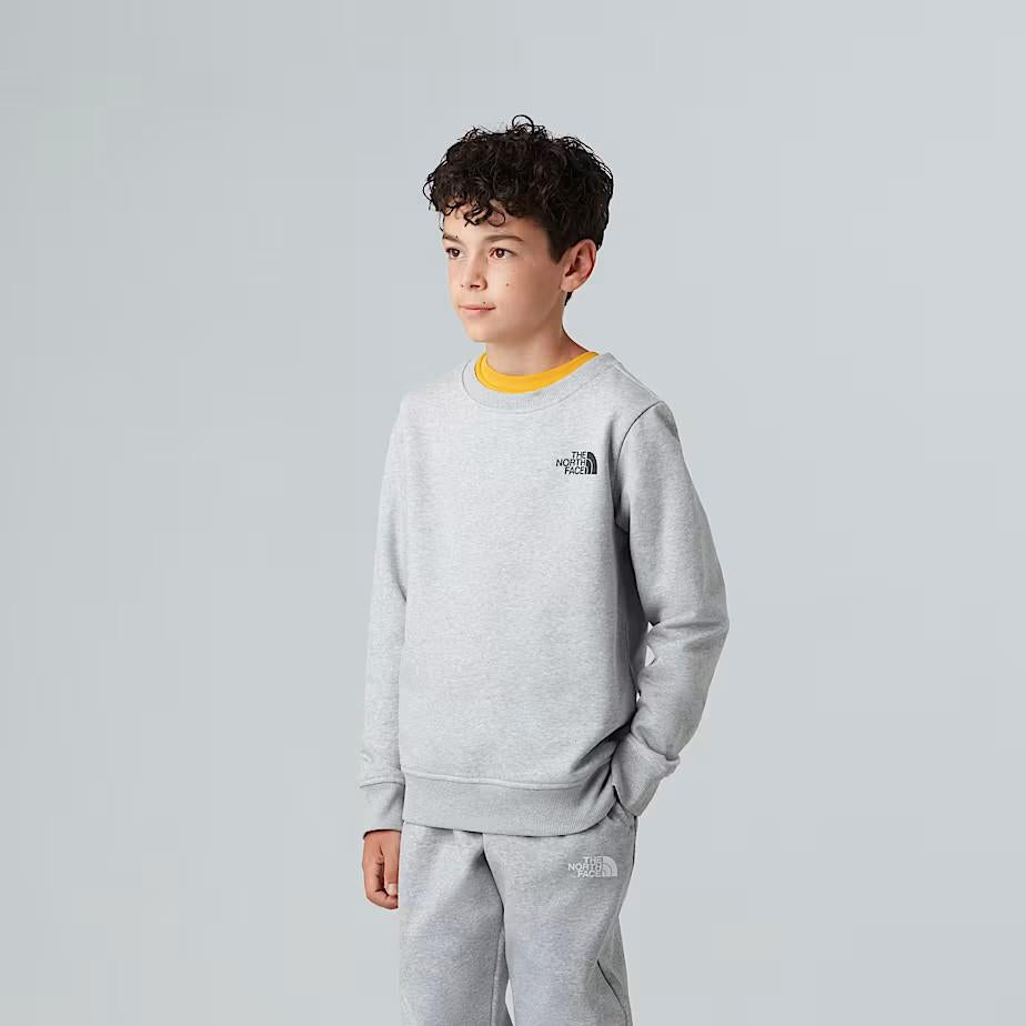 Felpa NSE Box NF0A89H7 DYX1 THE NORTH FACE 