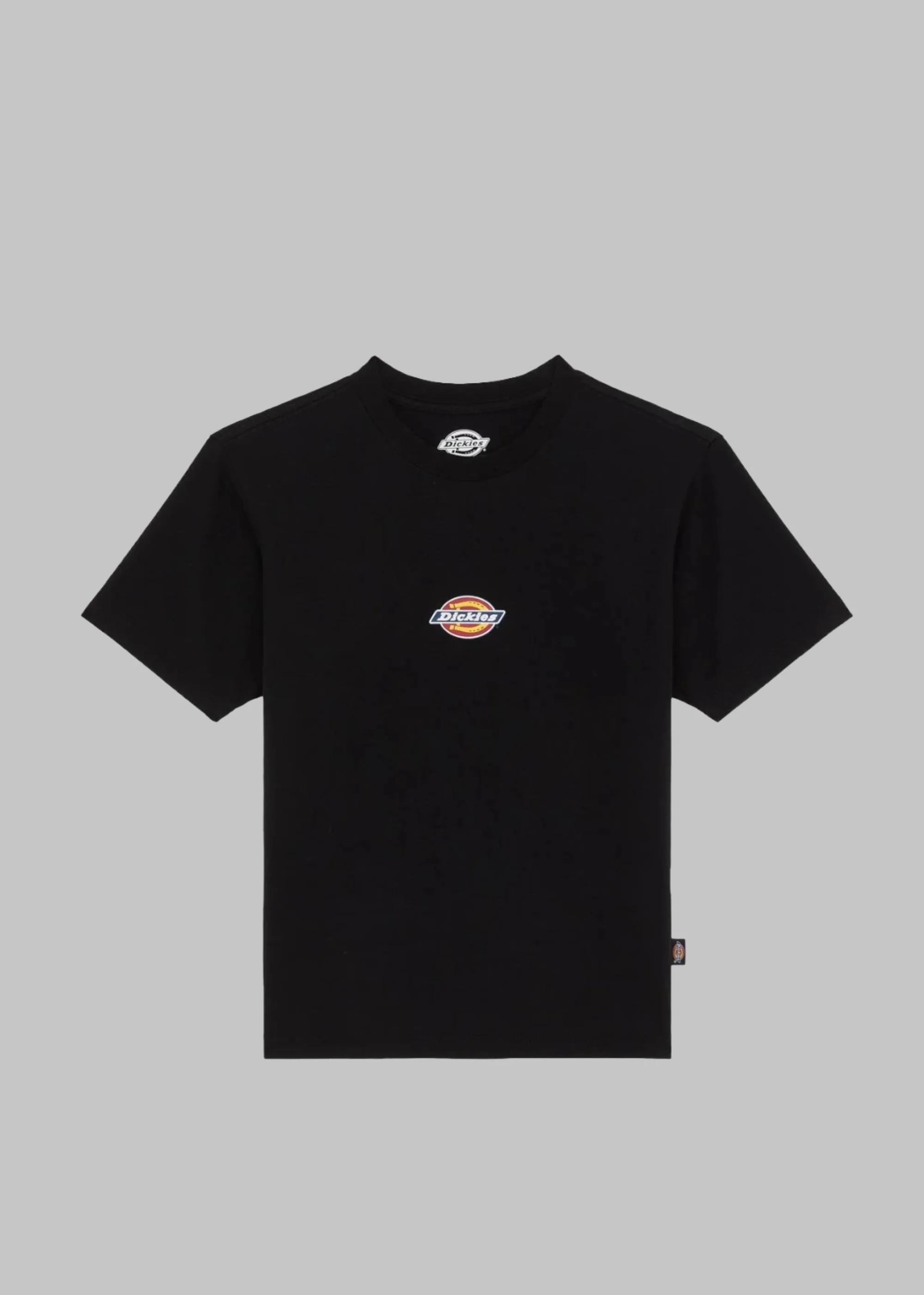 Maple valley reg tee DK0A4ZAO BLK1 DICKIES 