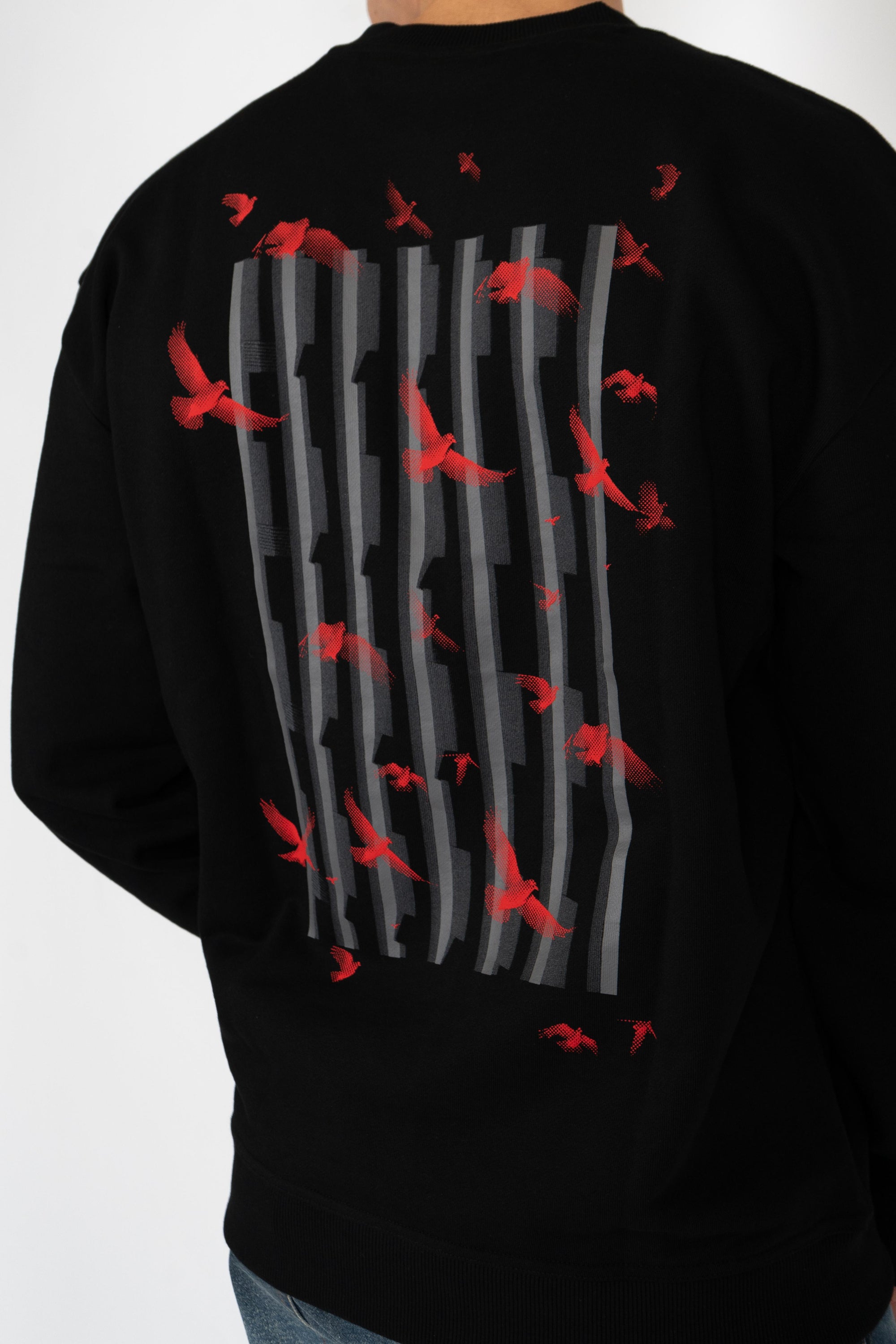 Felpa con grafica con uccelli 50544533 001 HUGO 