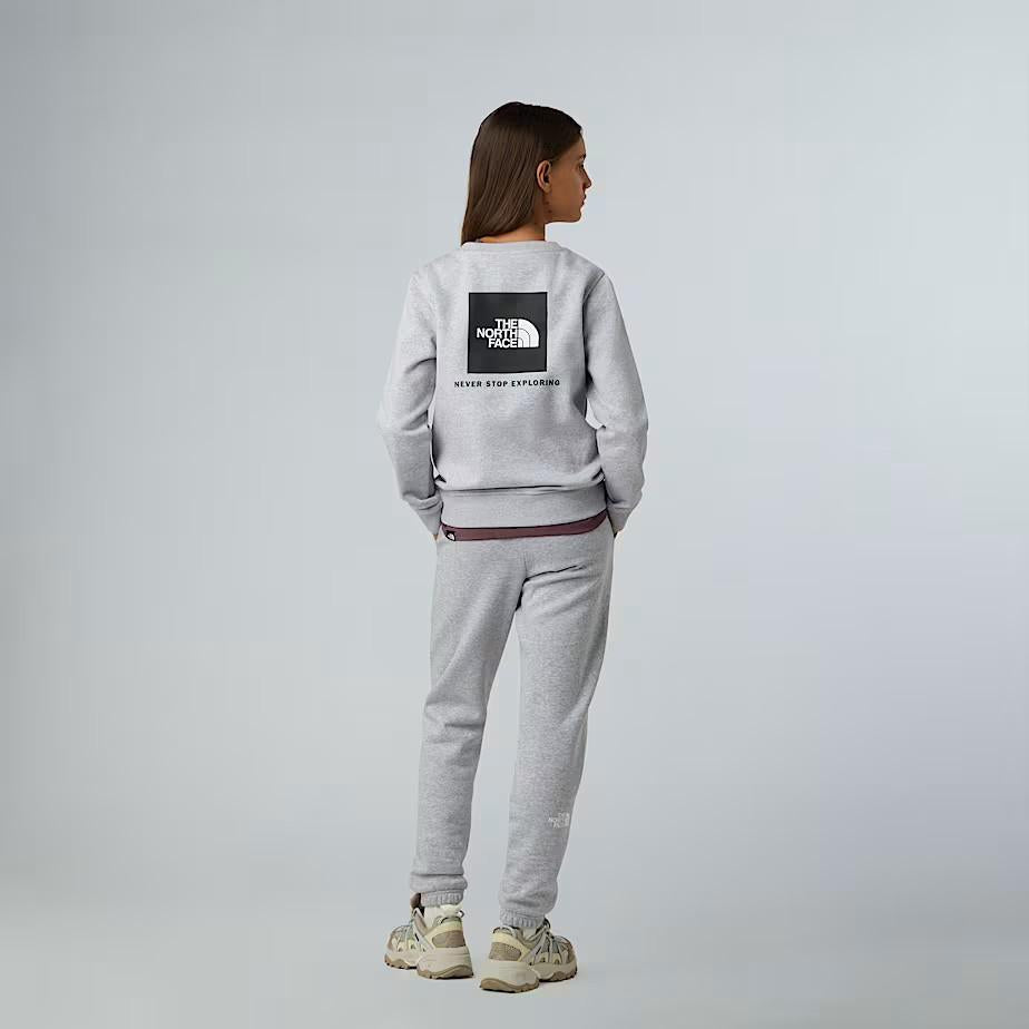Felpa NSE Box NF0A89H7 DYX1 THE NORTH FACE 