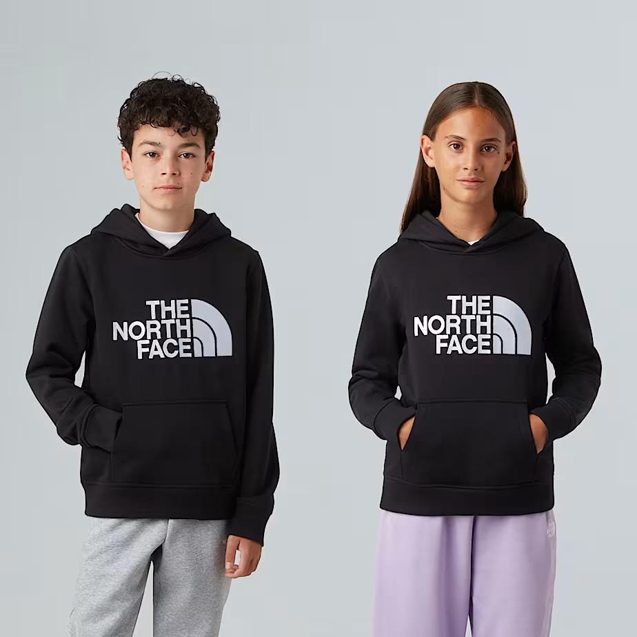 Felpa pullover con cappuccio NF0A8EHH JK31 THE NORTH FACE 