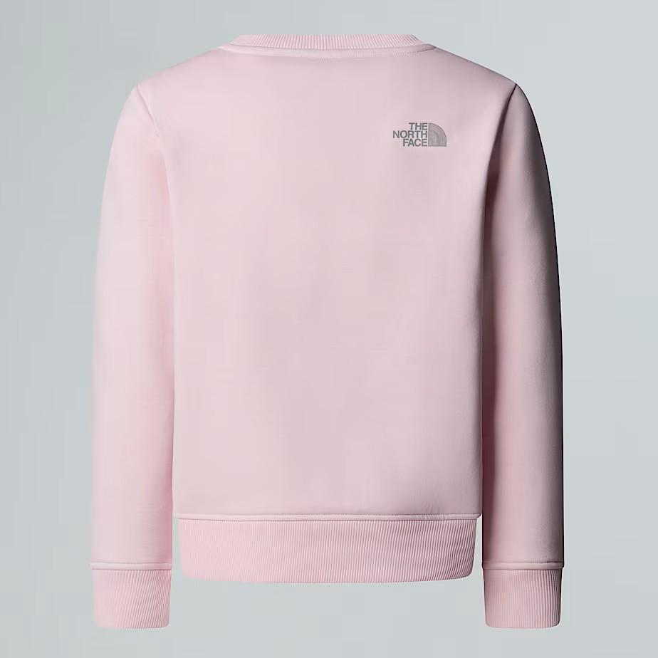Felpa Reflective NF0A8EAP BP61 THE NORTH FACE 