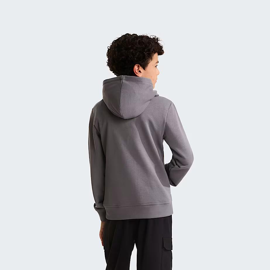 Felpa con cappuccio Liquid Logo Regular NF0A8G1Y 0UZ1 THE NORTH FACE 