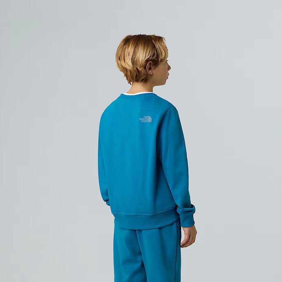 Felpa girocollo NF0A8EAT BOM1 THE NORTH FACE 