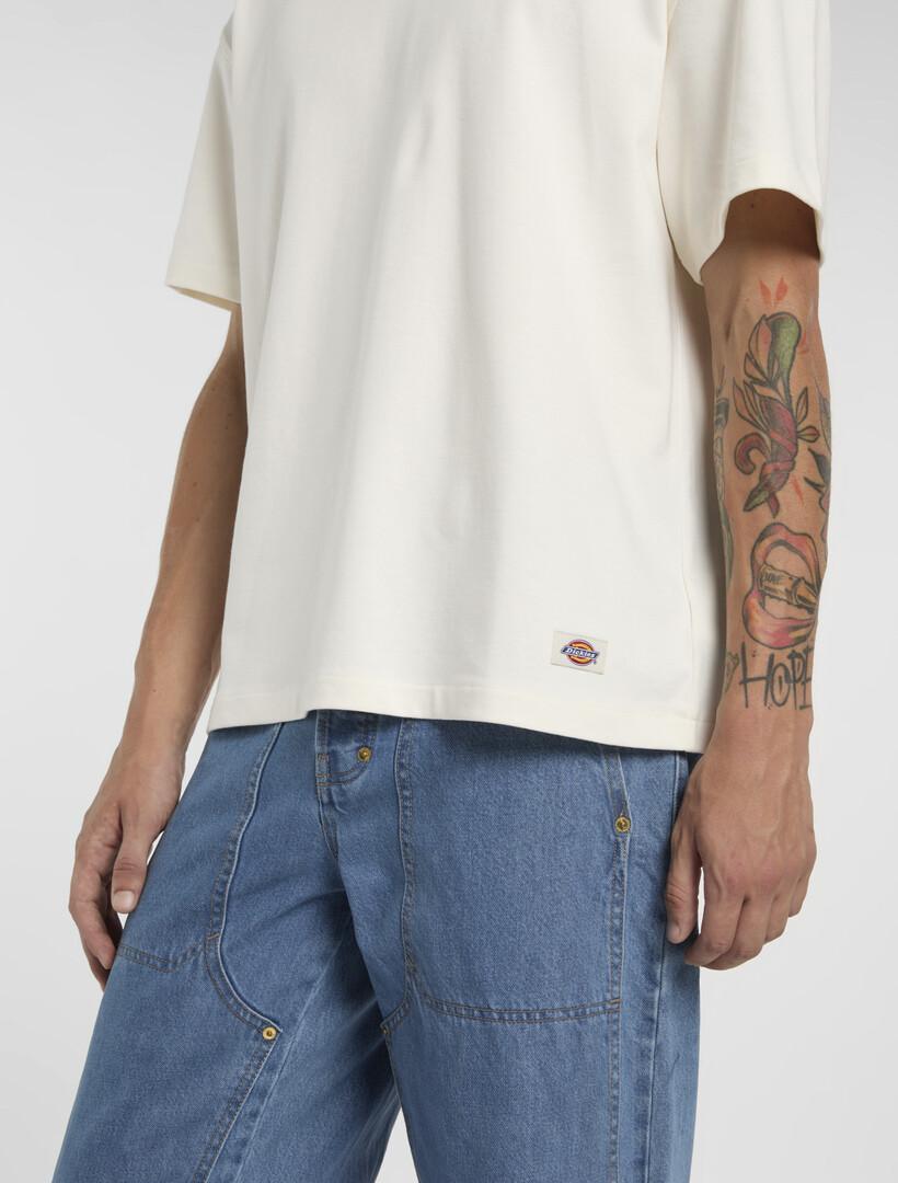 T-shirt pesante Mineral DK0A87QE C481 DICKIES 