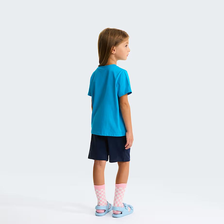 Set NSE Box Play Regular con pantaloncini NF0A8G1H DGY1 THE NORTH FACE 