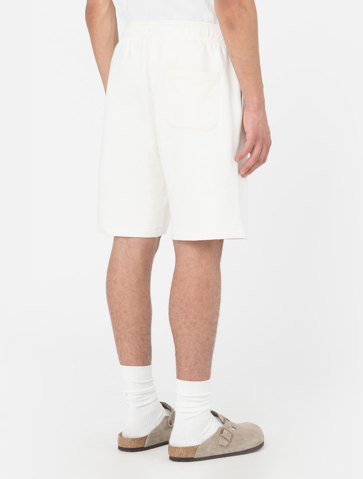 Shorts Mapleton DK0A4Y83 ECR1 DICKIES 