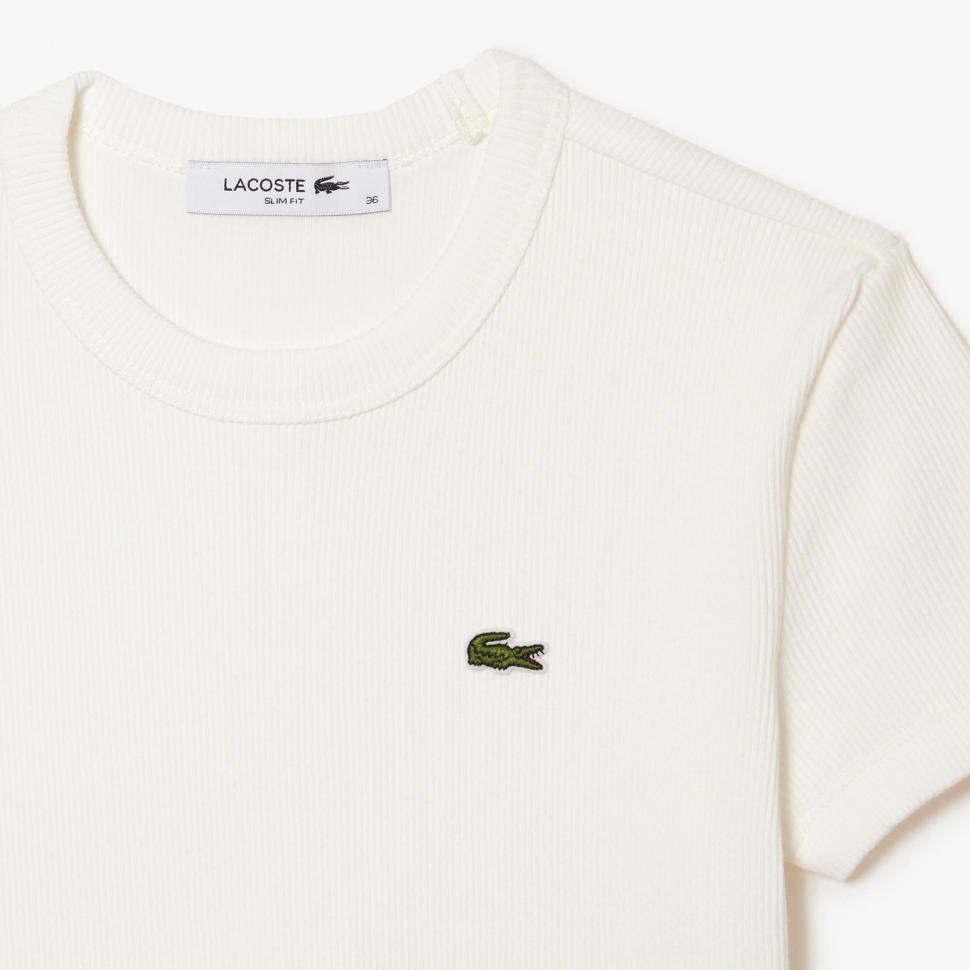 T-shirt in cotone a costine slim fit TF5538 70V LACOSTE 