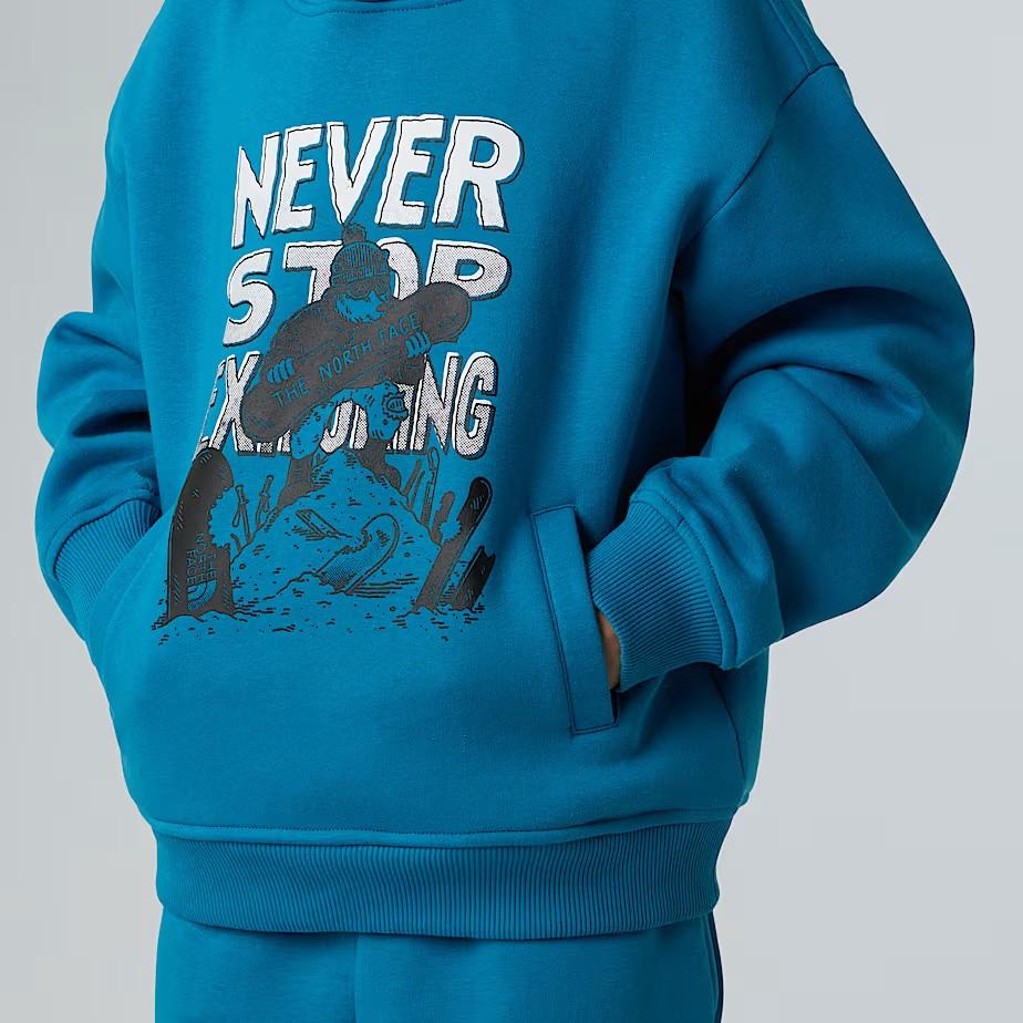 Felpa con cappuccio NF0A8EAM BOM1 THE NORTH FACE 