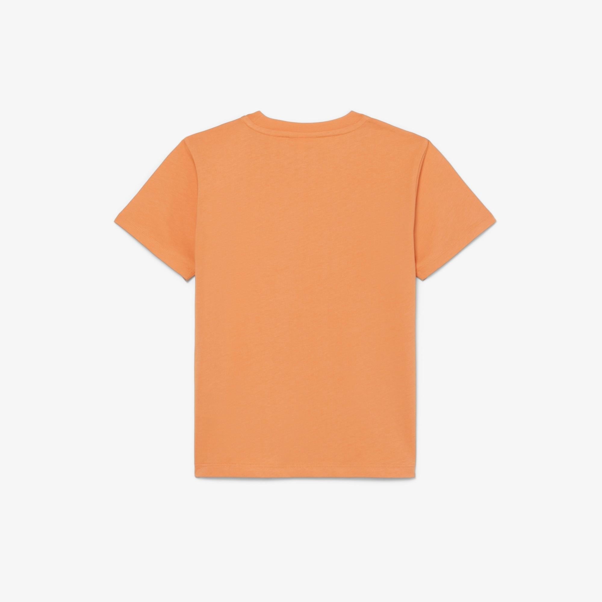 T-shirt unisex in cotone 847025 NA7 LACOSTE 