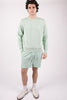 Shorts Polo Pony