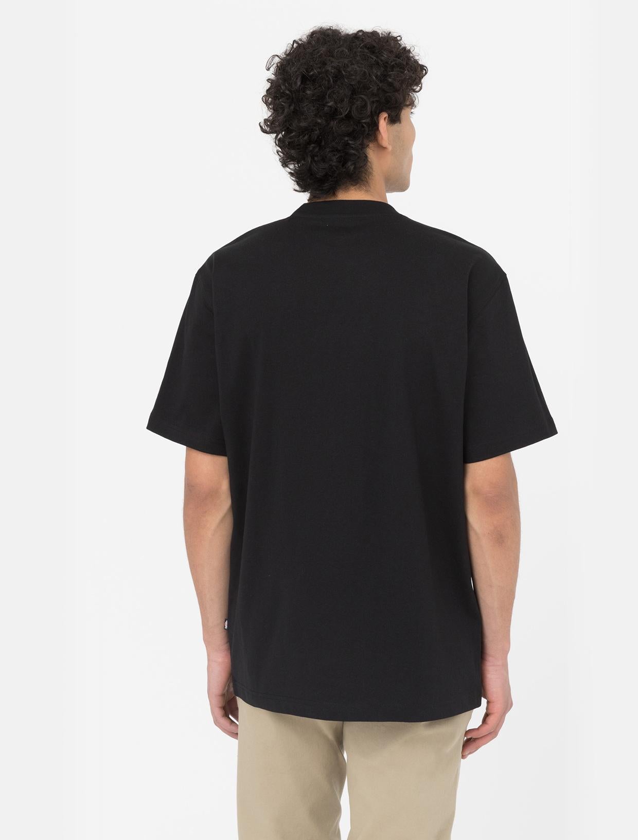 T-shirt Summerdale a maniche corte DK0A4YAI BLK1 DICKIES 