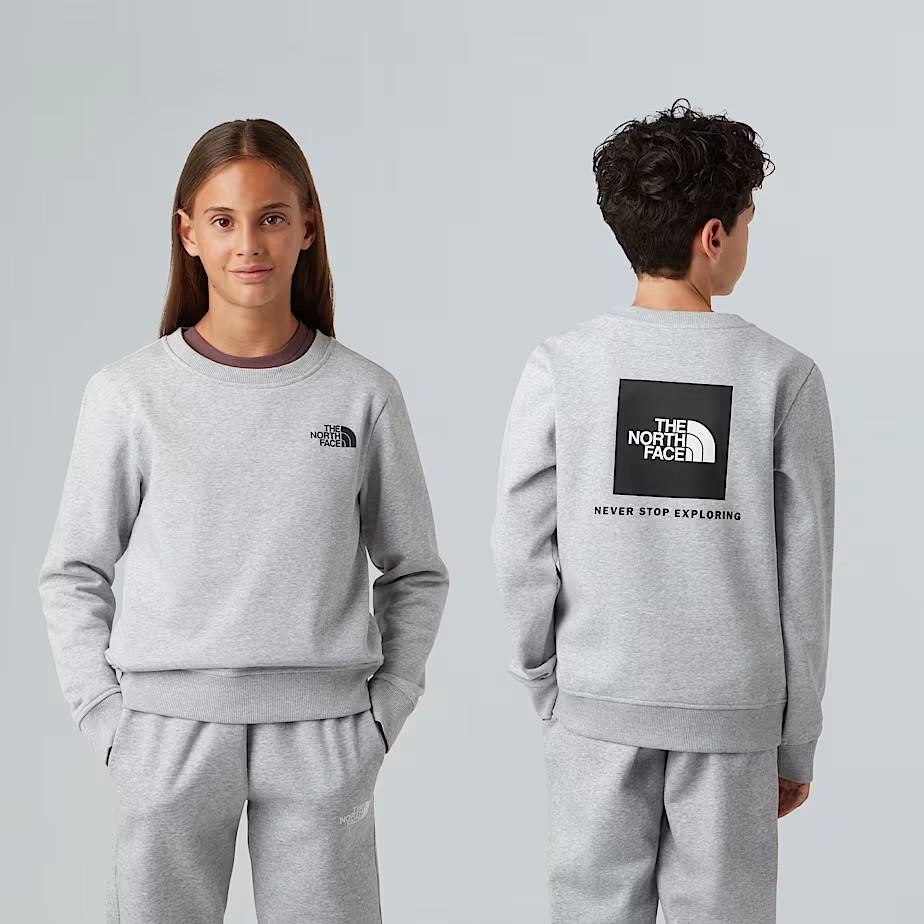 Felpa NSE Box NF0A89H7 DYX1 THE NORTH FACE 