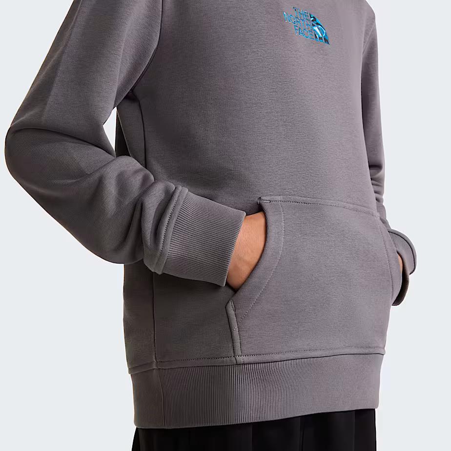 Felpa con cappuccio Liquid Logo Regular NF0A8G1Y 0UZ1 THE NORTH FACE 