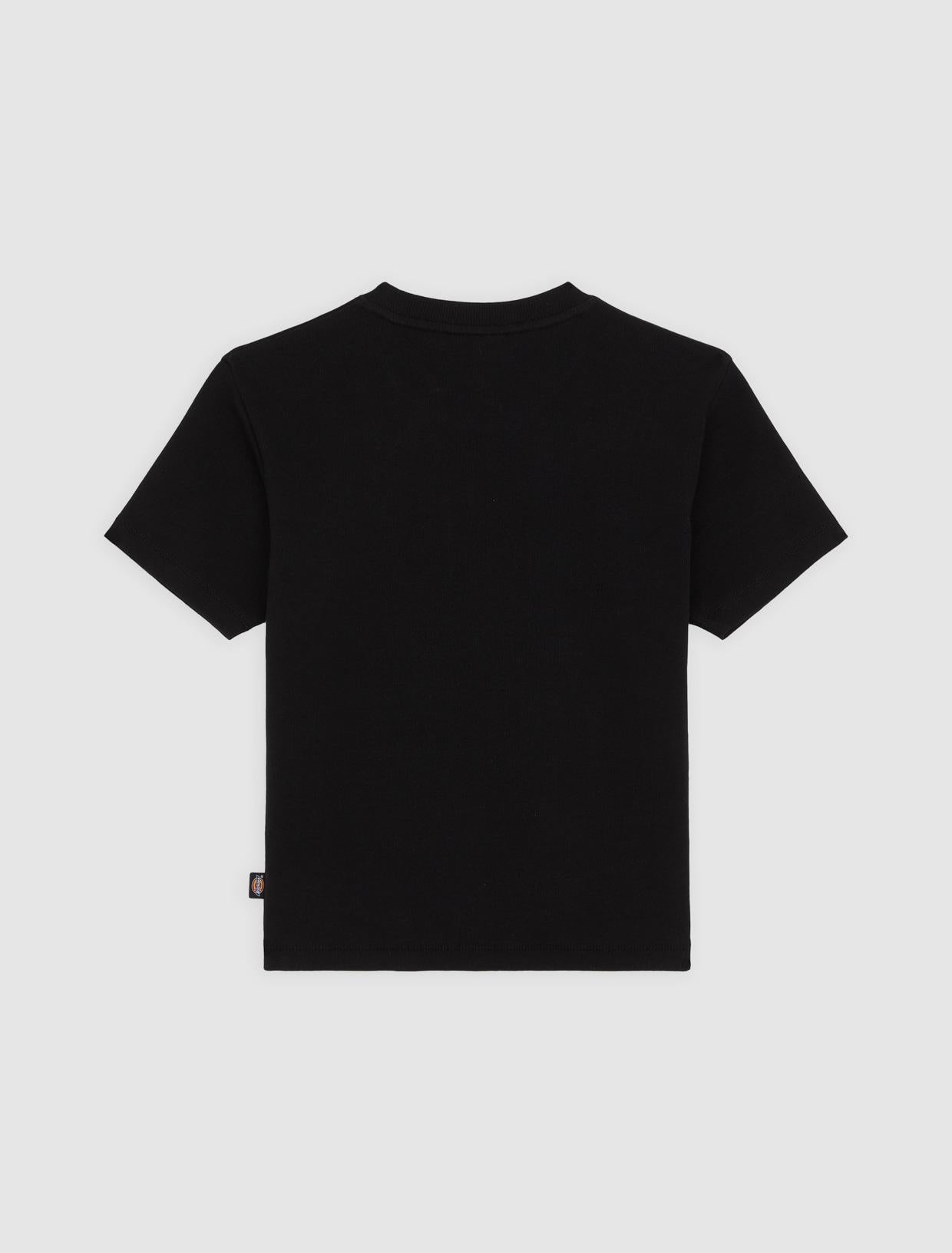 T-shirt Lewistown Ricamata DK0A4Z8J BLK1 DICKIES 