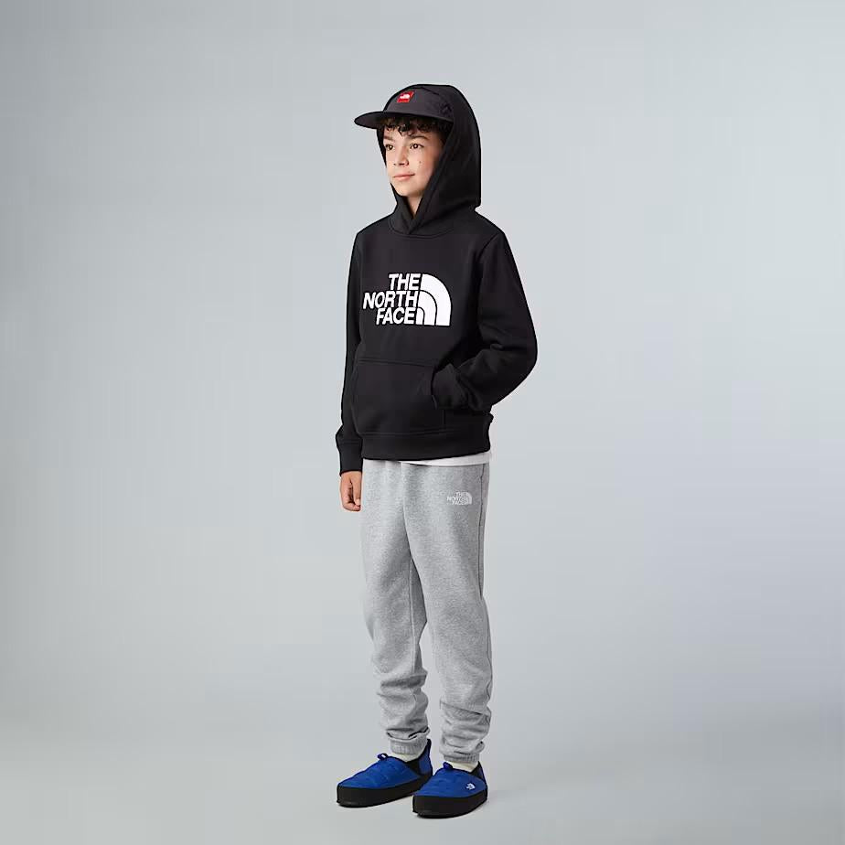 Felpa pullover con cappuccio NF0A8EHH JK31 THE NORTH FACE 