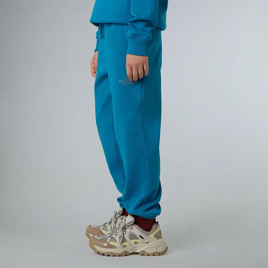Pantaloni tuta NF0A8EAU BOM1 THE NORTH FACE 