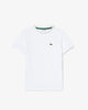 T-shirt in cotone