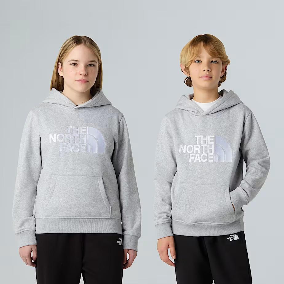 Felpa pullover con cappuccio NF0A8EHH DYX1 THE NORTH FACE 