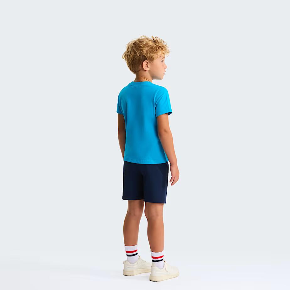 Set NSE Box Play Regular con pantaloncini NF0A8G1H DGY1 THE NORTH FACE 