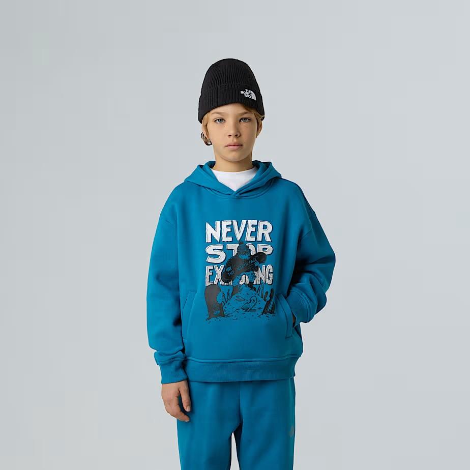 Felpa con cappuccio NF0A8EAM BOM1 THE NORTH FACE 