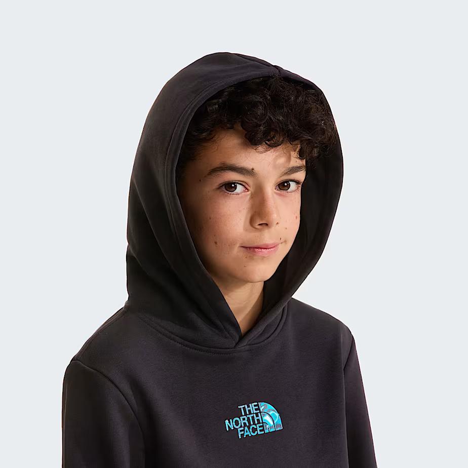Felpa con cappuccio Liquid Logo Regular NF0A8G1Y JK31 THE NORTH FACE 
