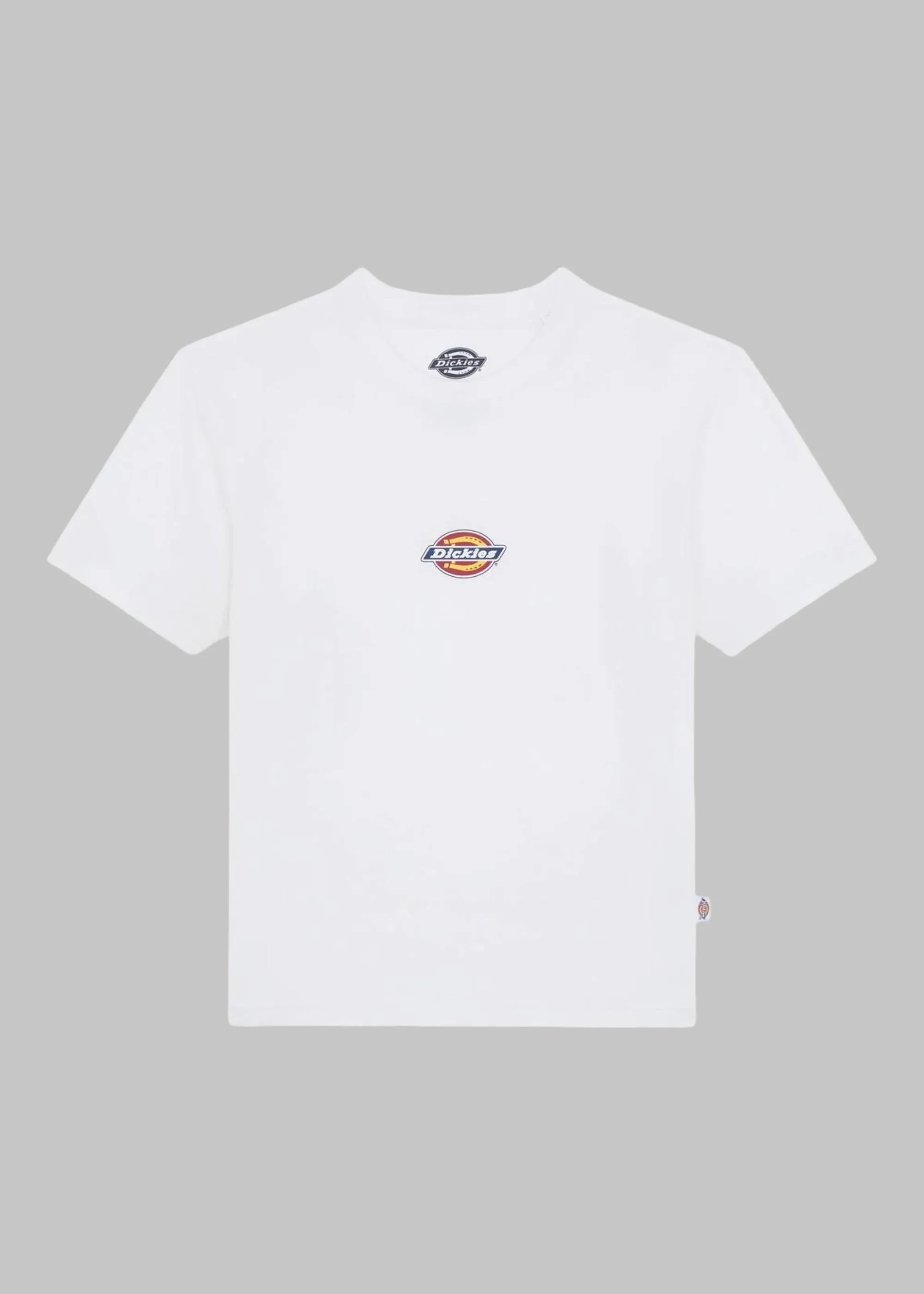 Maple valley reg tee DK0A4ZAO OWH1 DICKIES 