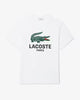 T-shirt in cotone stampato