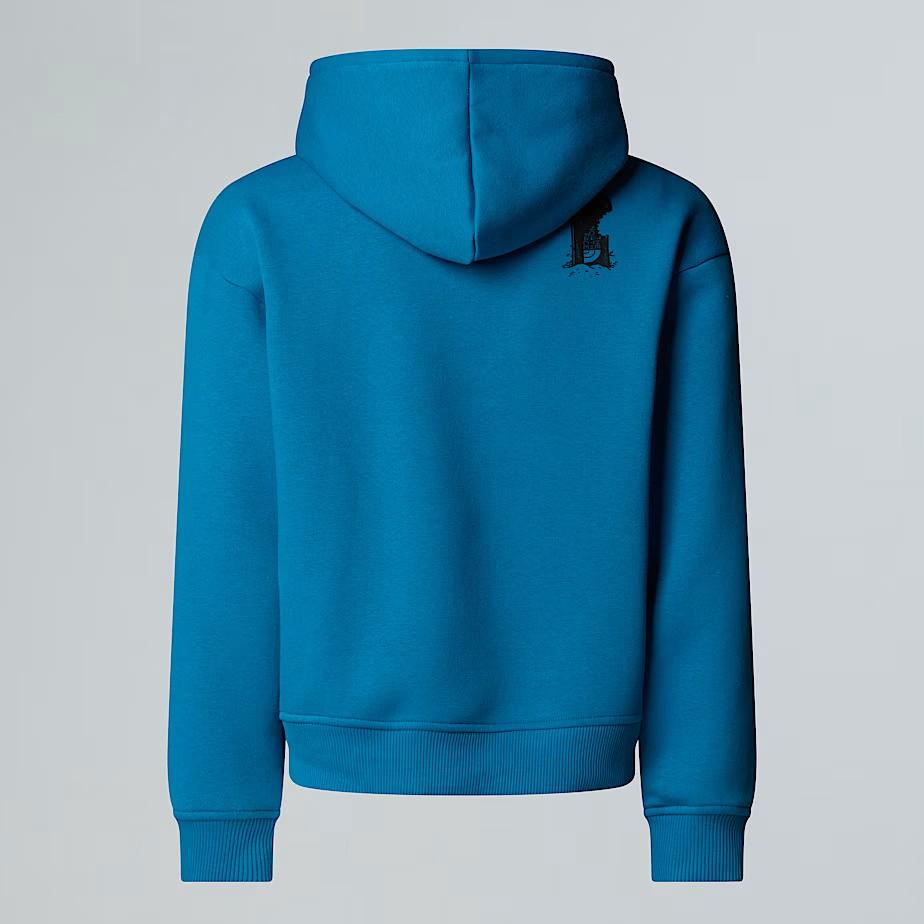 Felpa con cappuccio NF0A8EAM BOM1 THE NORTH FACE 