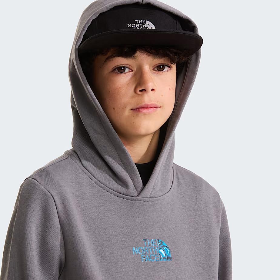Felpa con cappuccio Liquid Logo Regular NF0A8G1Y 0UZ1 THE NORTH FACE 