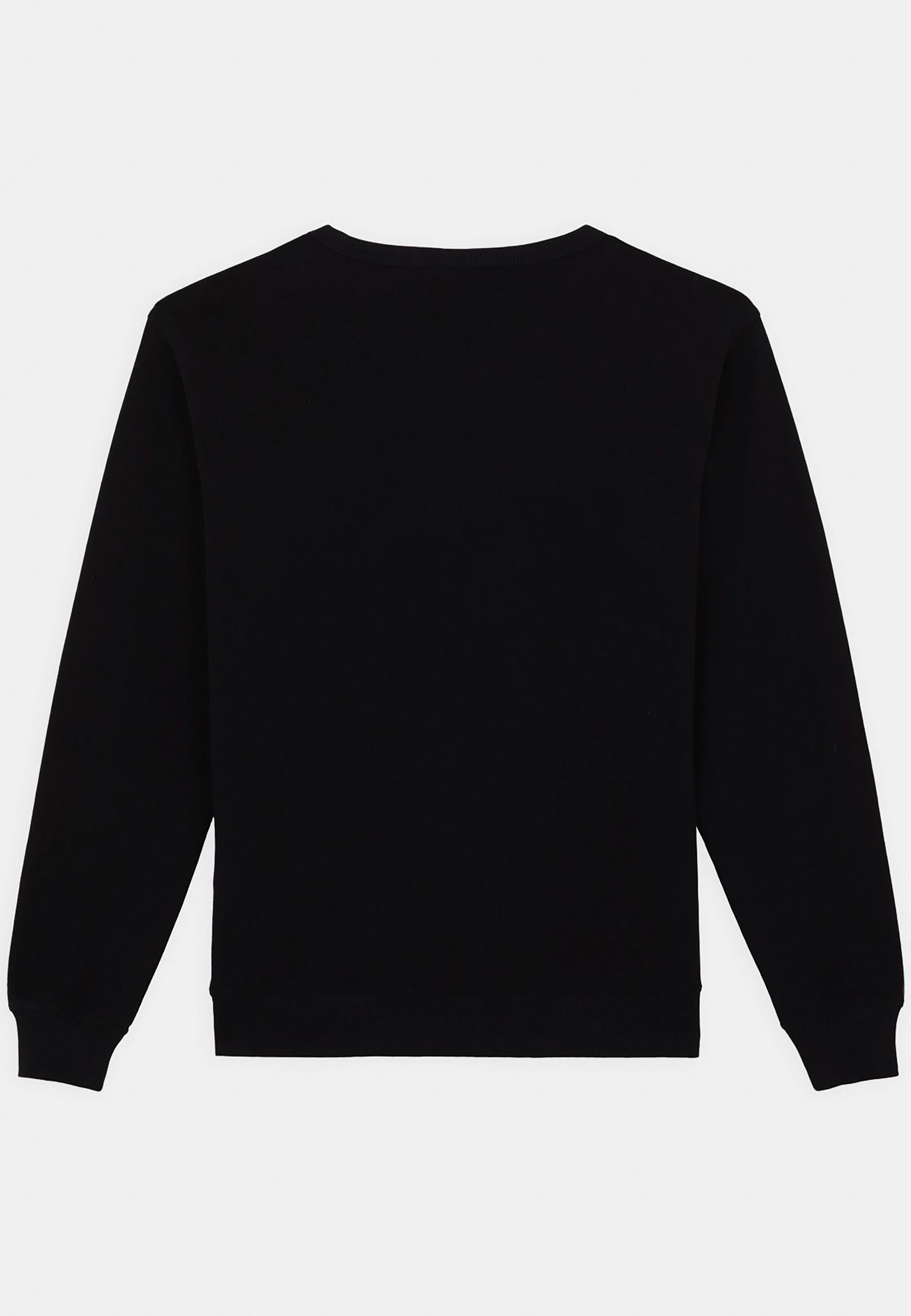 Felpa Lewistown DK0A8682 BLK1 DICKIES 