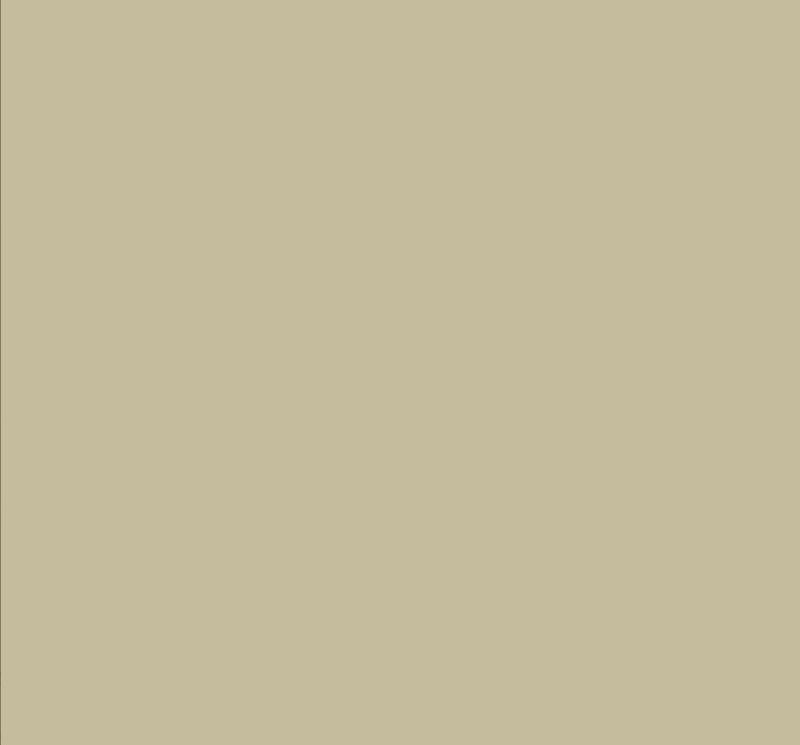 Gonna foundation dritta 116034 PIST ALYSI CHOCOLAT 