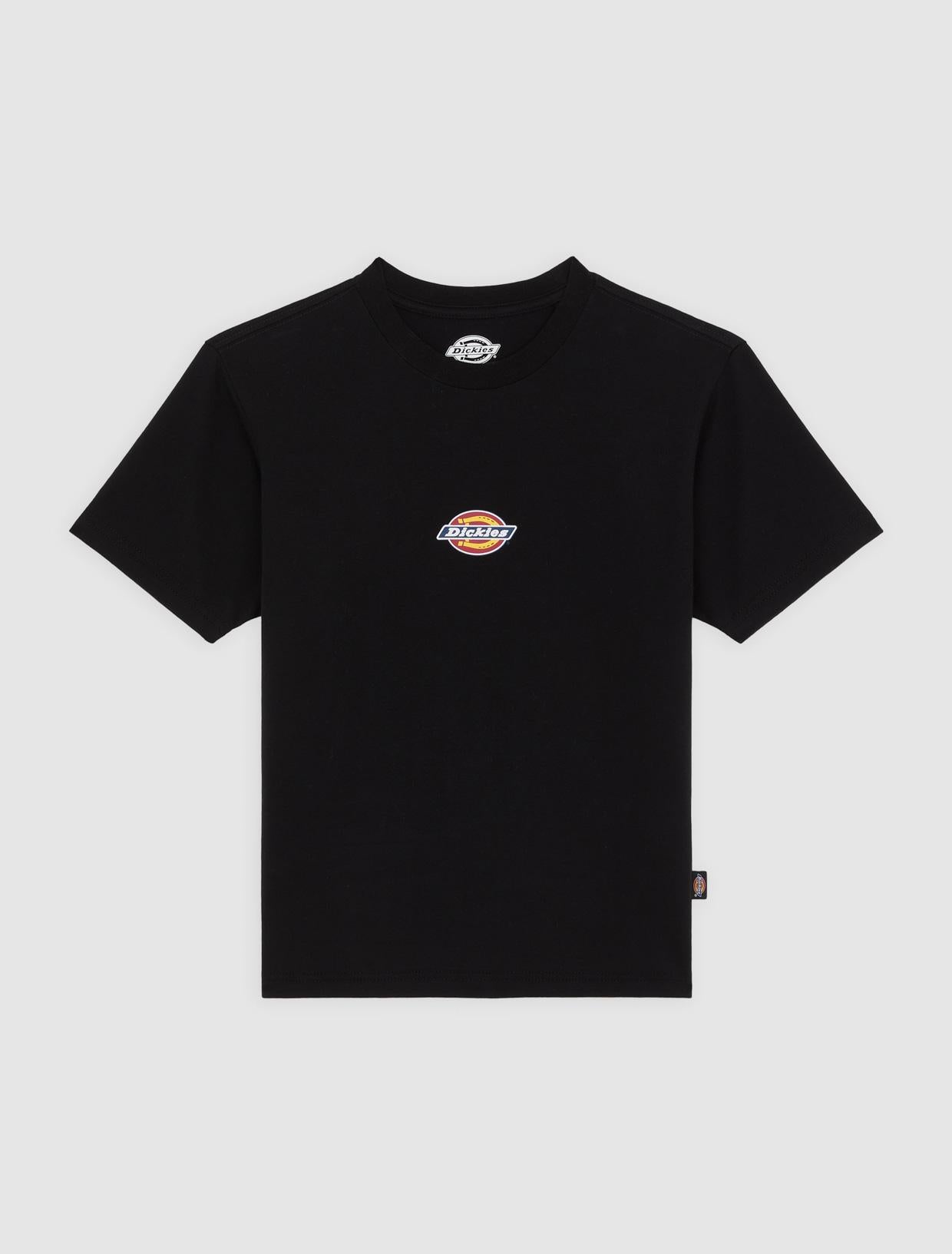 T-shirt Maple Valley Regular DK0A4ZAO BLK1 DICKIES 
