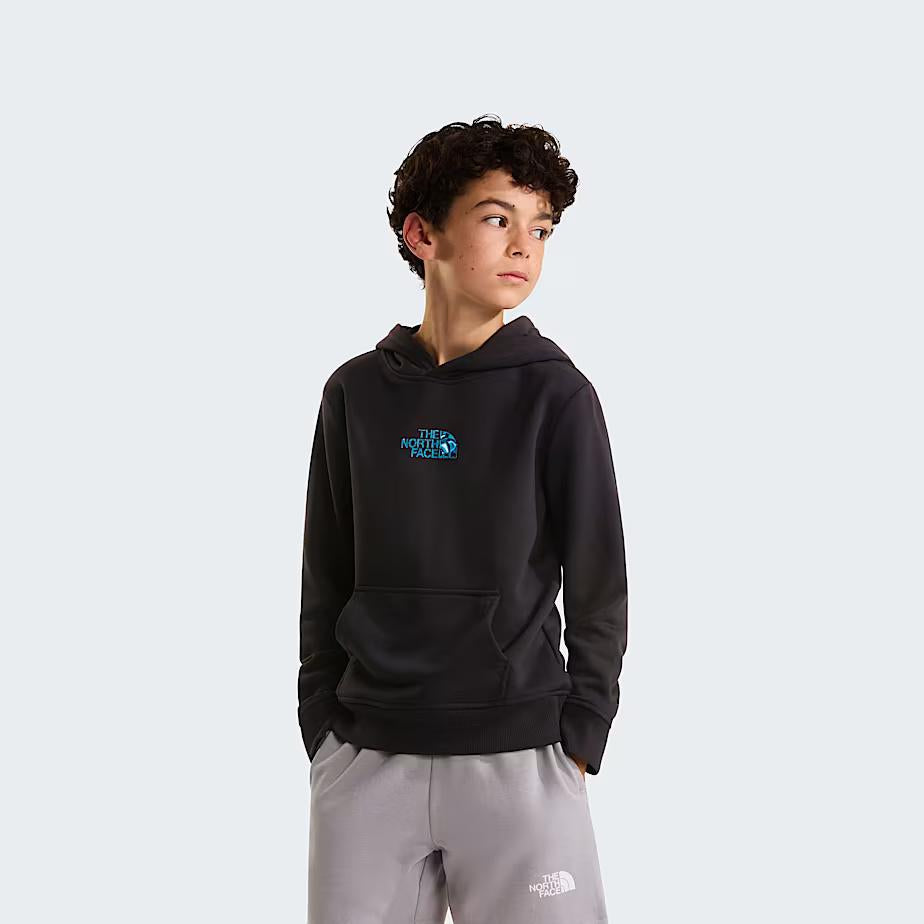 Felpa con cappuccio Liquid Logo Regular NF0A8G1Y JK31 THE NORTH FACE 