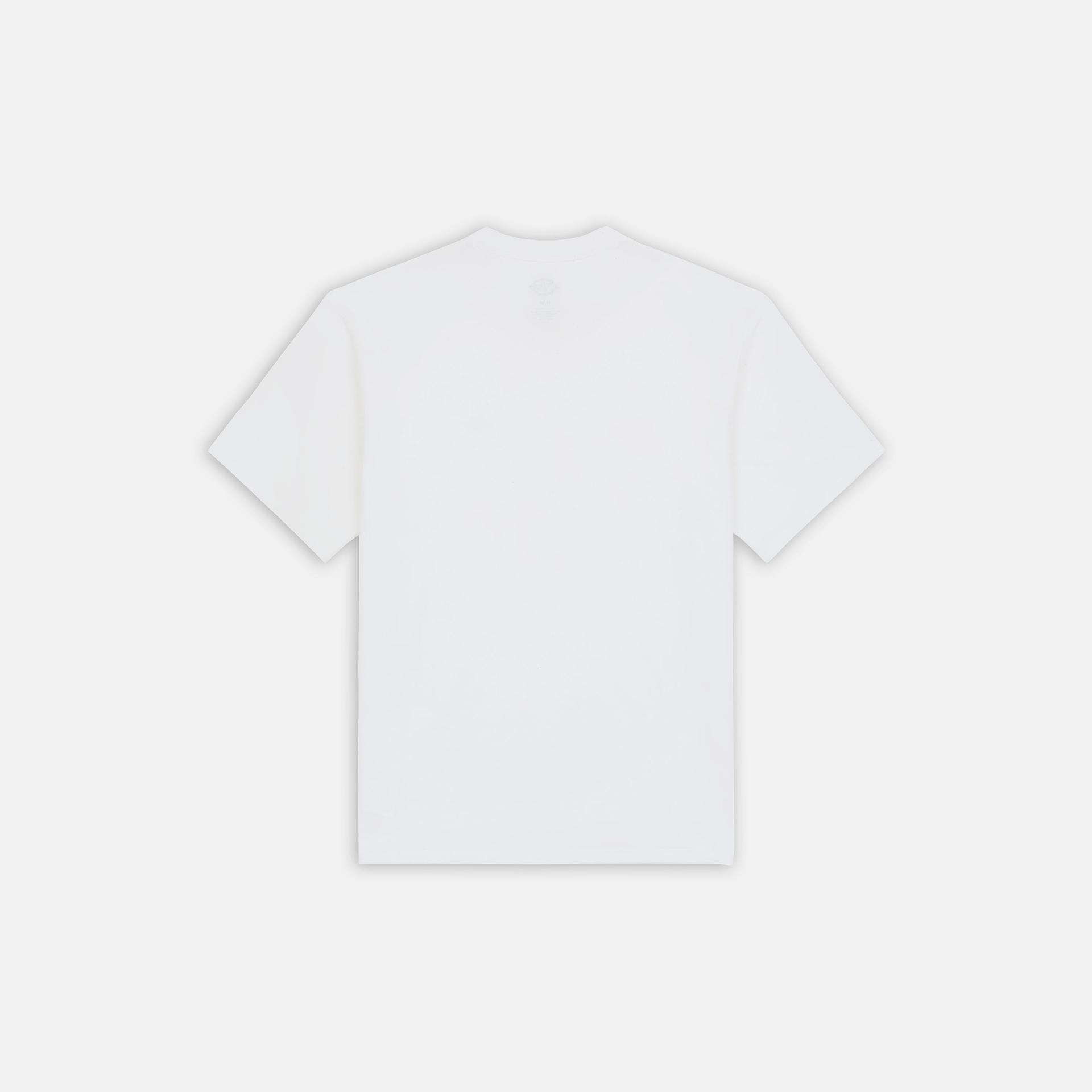 T-shirt Clancy Heavyweight DK0A4Z4L 0WH1 DICKIES 