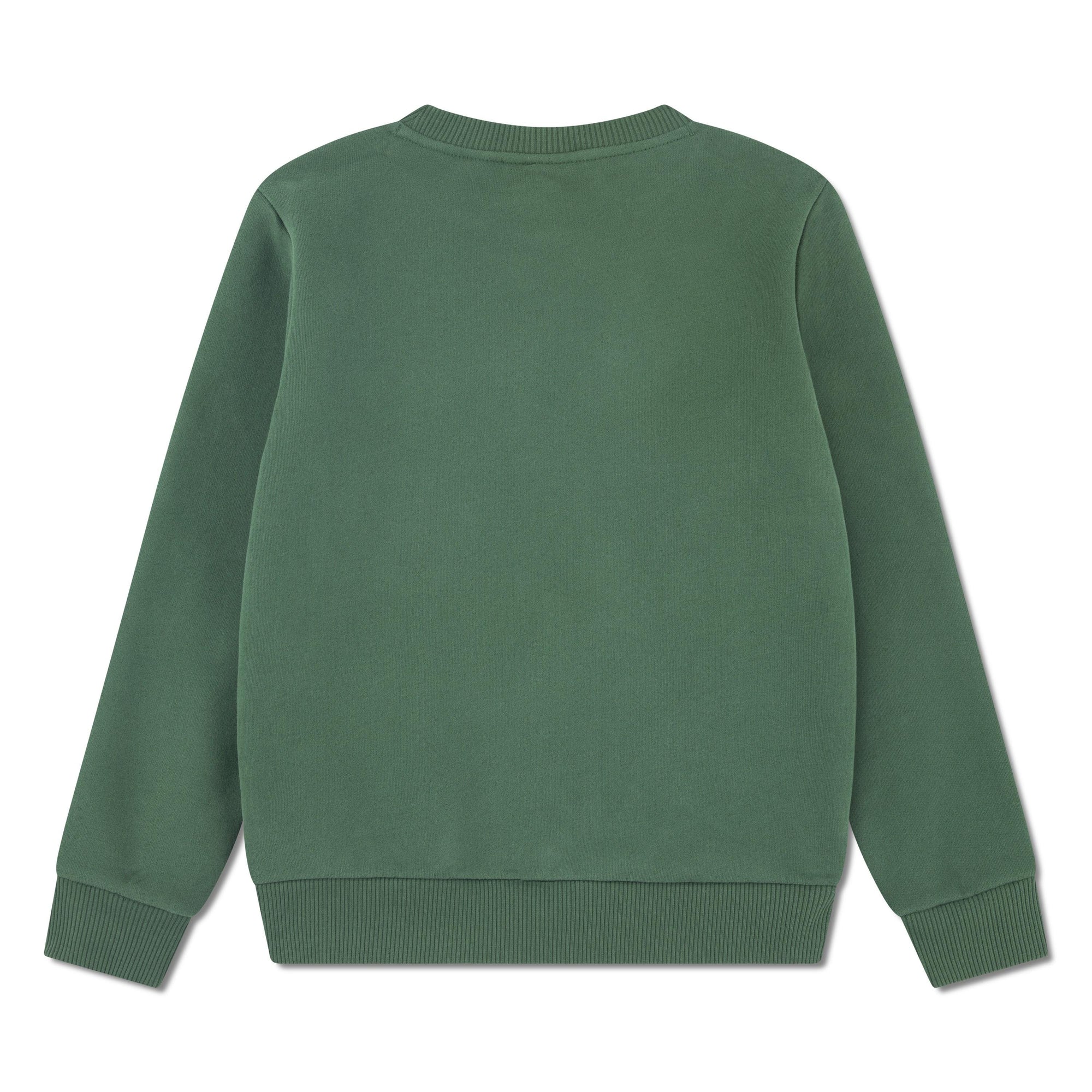 Felpa girocollo in tessuto felpato 847029 F9W LACOSTE 