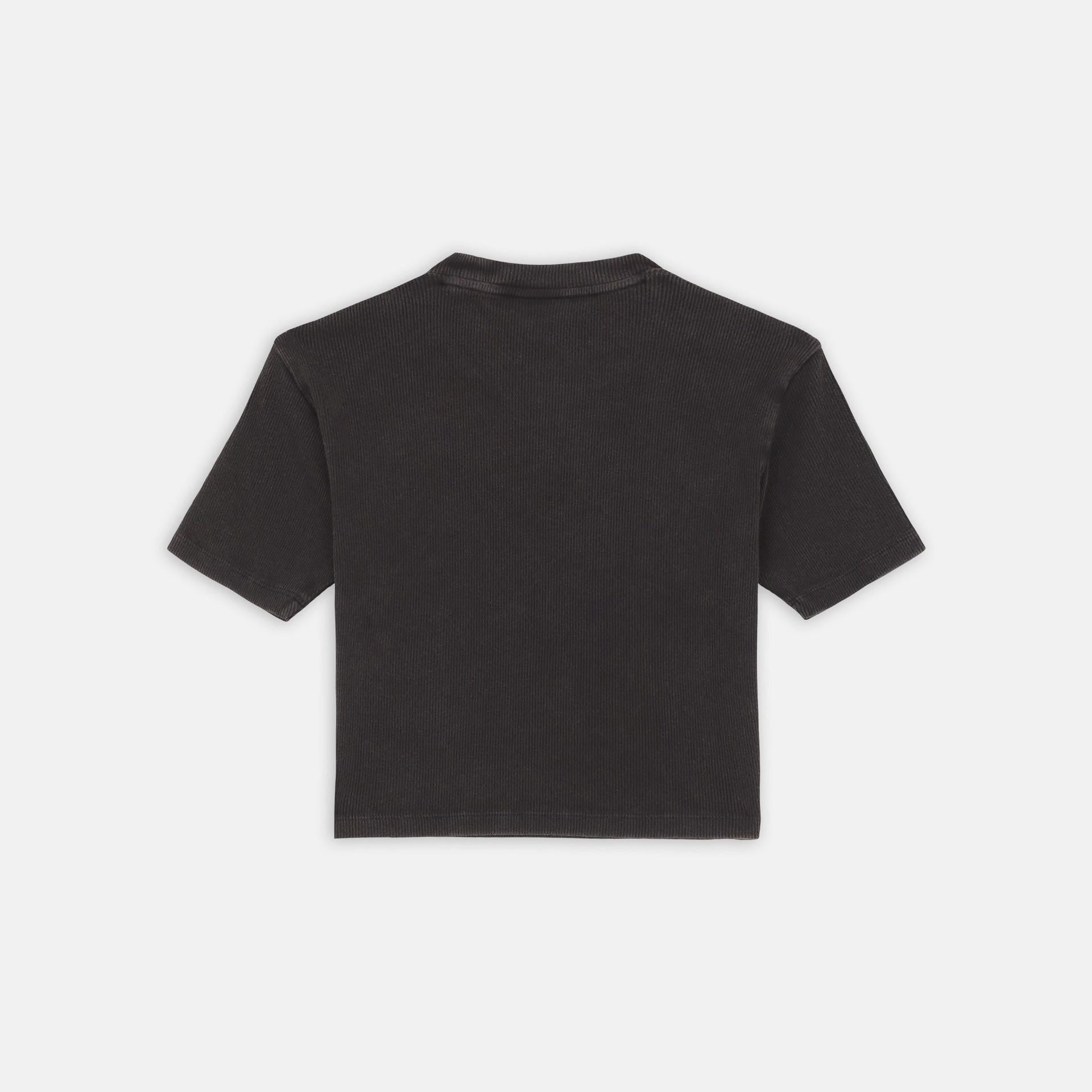 T-shirt con logo ricamato DK0A866F BLK1 DICKIES 