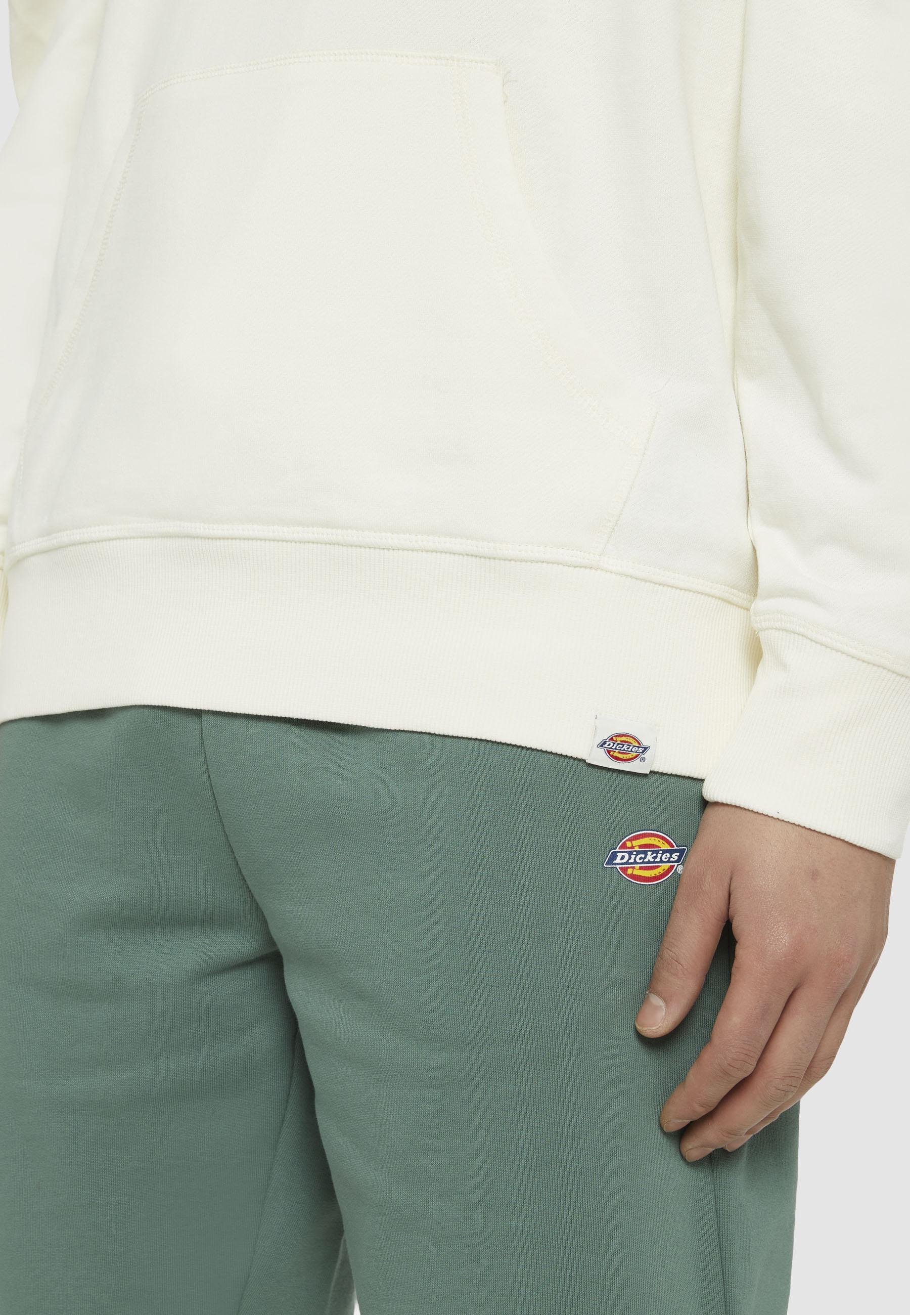Felpa con cappuccio Millersburg DK0A4YLY ECR1 DICKIES 