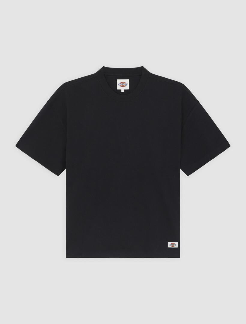 T-shirt pesante Mineral DK0A87QE BLK1 DICKIES 