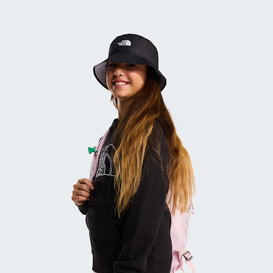 Felpa con cappuccio Drew Peak Light Regular NF0A8GR8 JK31 THE NORTH FACE 