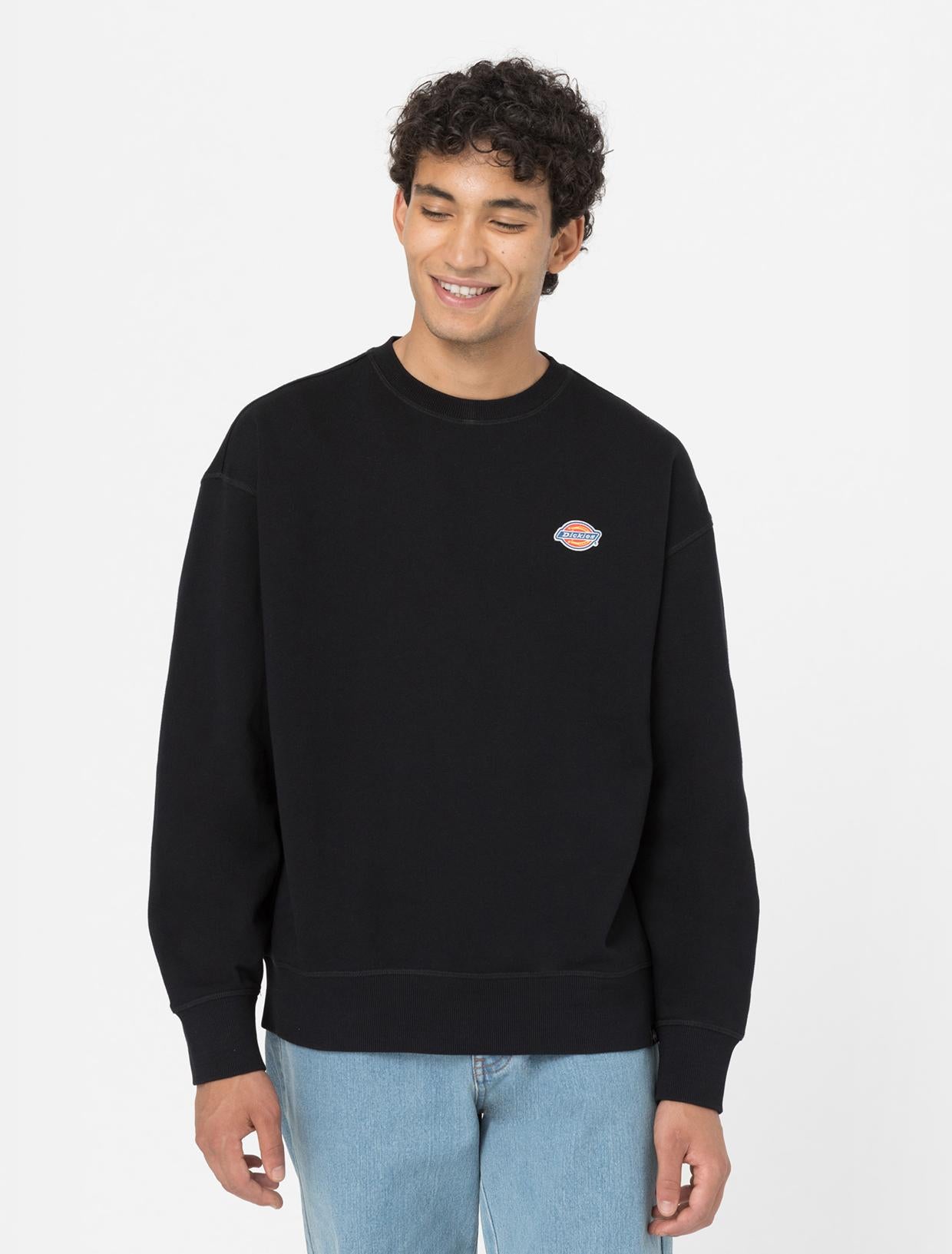 Felpa Millersburg DK0A4YLZ BLK1 DICKIES 
